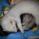 Dont let the night time snuggles fool you; their daytime relationship was anything but.